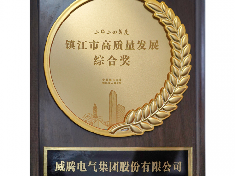 喜讯│拉斯维加斯9888荣获2024年度镇江市高质量生长综合奖